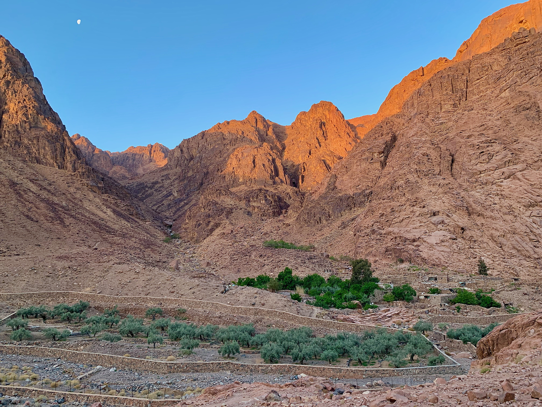 The little green sanctuary in the valley