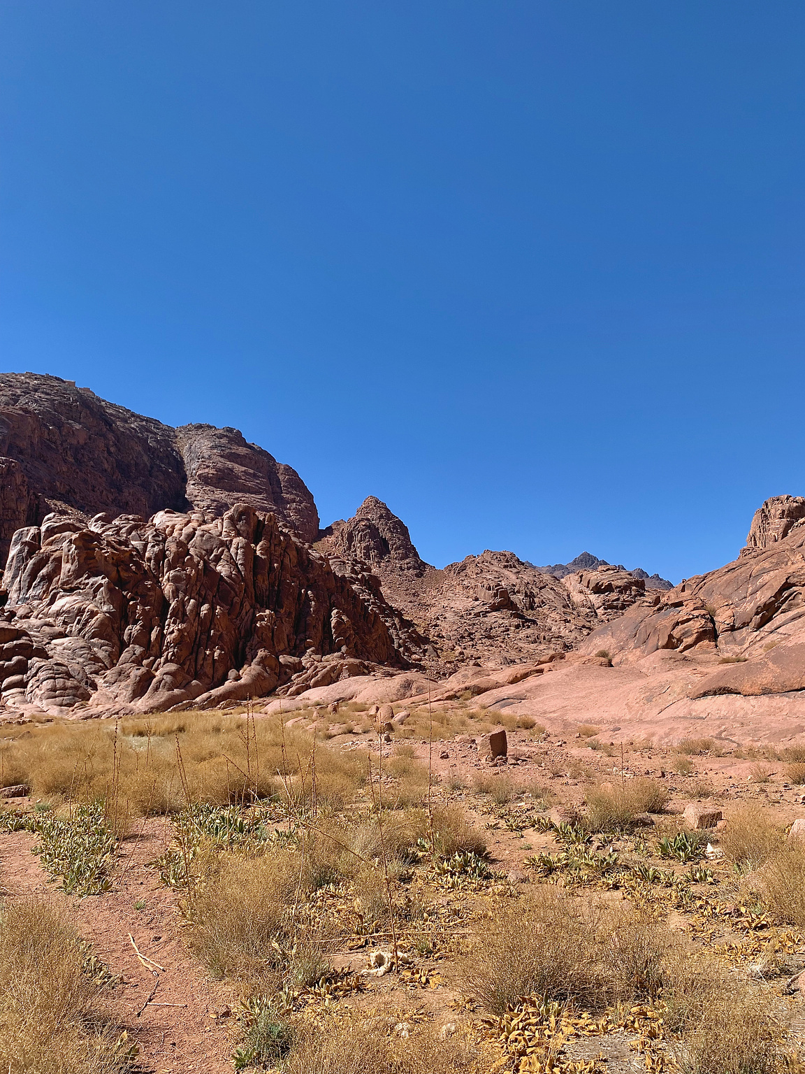 Mt. Katherine from afar!