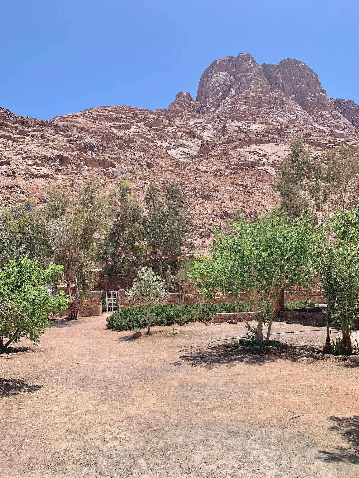 Grounds of Fox Camp