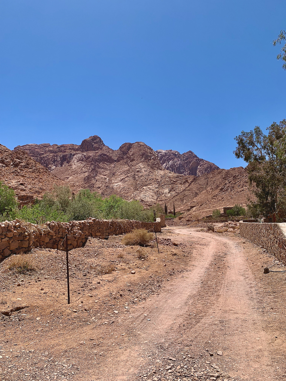Trail head